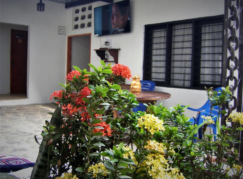 Hostal Palohe Таганга Экстерьер фото